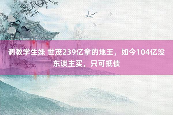 调教学生妹 世茂239亿拿的地王，如今104亿没东谈主买，只可抵债