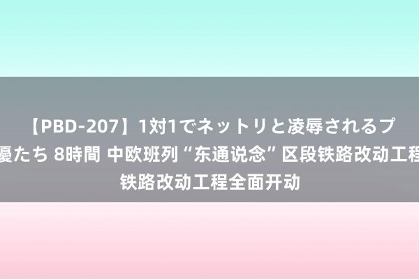 【PBD-207】1対1でネットリと凌辱されるプレミア女優たち 8時間 中欧班列“东通说念”区段铁路改动工程全面开动