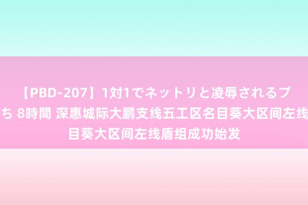 【PBD-207】1対1でネットリと凌辱されるプレミア女優たち 8時間 深惠城际大鹏支线五工区名目葵大区间左线盾组成功始发