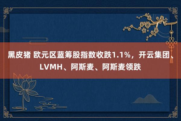 黑皮猪 欧元区蓝筹股指数收跌1.1%，开云集团、LVMH、阿斯麦、阿斯麦领跌