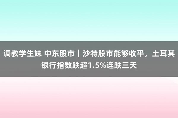 调教学生妹 中东股市｜沙特股市能够收平，土耳其银行指数跌超1.5%连跌三天