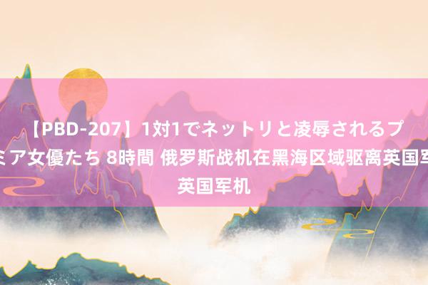 【PBD-207】1対1でネットリと凌辱されるプレミア女優たち 8時間 俄罗斯战机在黑海区域驱离英国军机