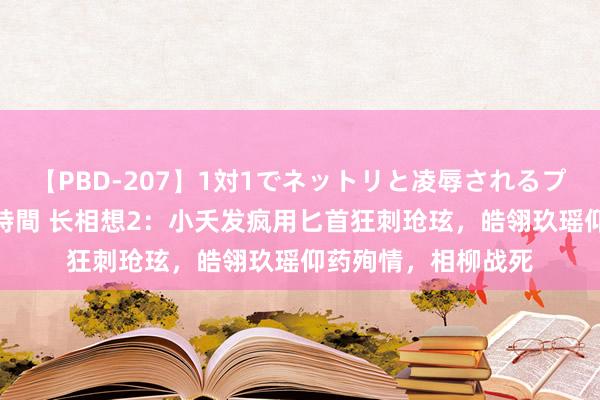 【PBD-207】1対1でネットリと凌辱されるプレミア女優たち 8時間 长相想2：小夭发疯用匕首狂刺玱玹，皓翎玖瑶仰药殉情，相柳战死