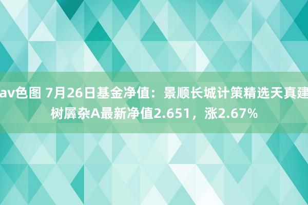 av色图 7月26日基金净值：景顺长城计策精选天真建树羼杂A最新净值2.651，涨2.67%