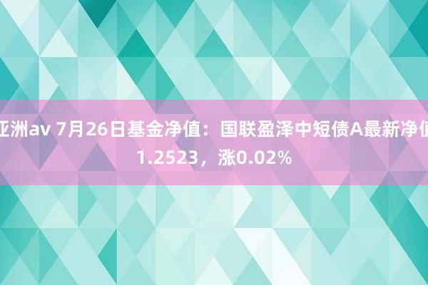 亚洲av 7月26日基金净值：国联盈泽中短债A最新净值1.2523，涨0.02%