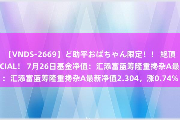 【VNDS-2669】ど助平おばちゃん限定！！ 絶頂ディルドオナニーSPECIAL！ 7月26日基金净值：汇添富蓝筹隆重搀杂A最新净值2.304，涨0.74%