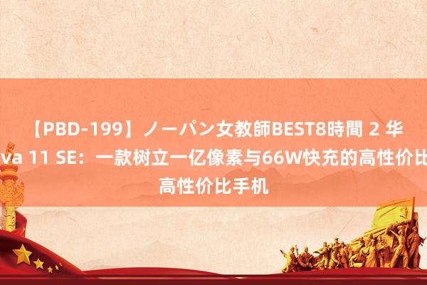 【PBD-199】ノーパン女教師BEST8時間 2 华为nova 11 SE：一款树立一亿像素与66W快充的高性价比手机