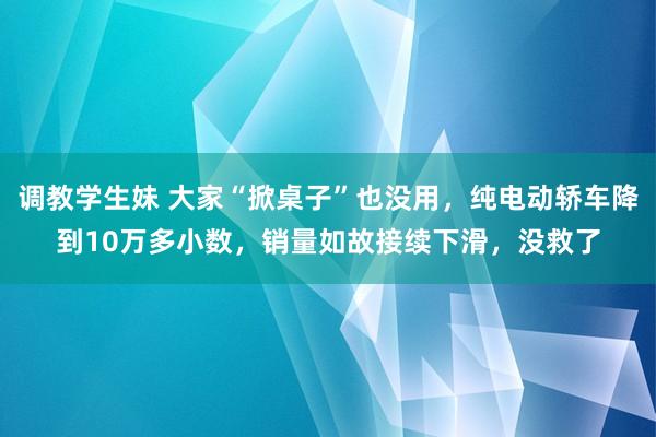 调教学生妹 大家“掀桌子”也没用，纯电动轿车降到10万多小数，销量如故接续下滑，没救了