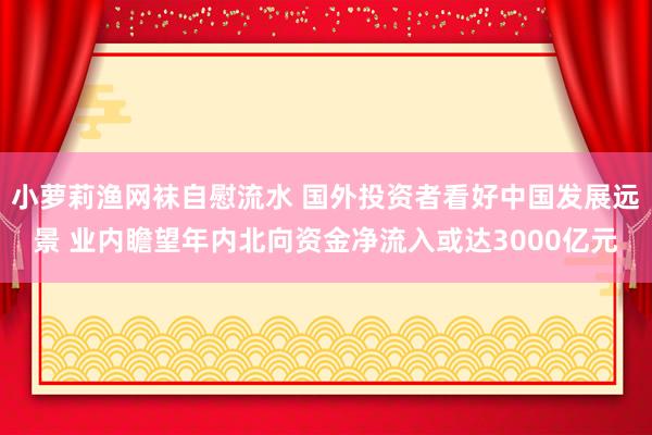 小萝莉渔网袜自慰流水 国外投资者看好中国发展远景 业内瞻望年内北向资金净流入或达3000亿元