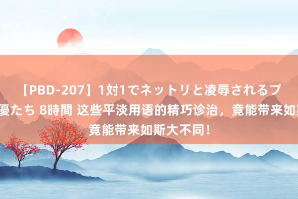 【PBD-207】1対1でネットリと凌辱されるプレミア女優たち 8時間 这些平淡用语的精巧诊治，竟能带来如斯大不同！