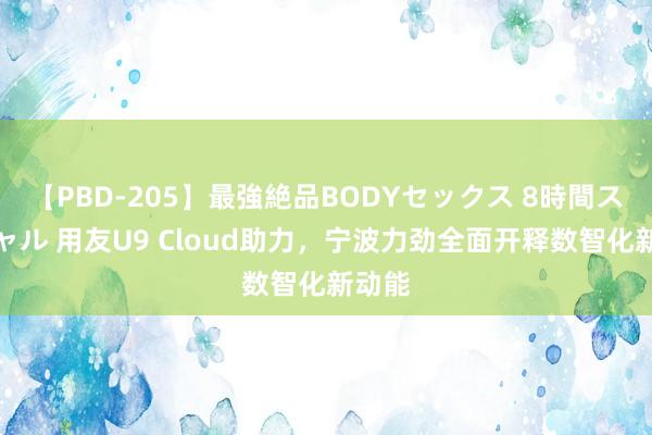 【PBD-205】最強絶品BODYセックス 8時間スペシャル 用友U9 Cloud助力，宁波力劲全面开释数智化新动能