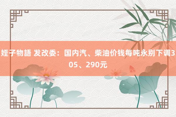 姪子物語 发改委：国内汽、柴油价钱每吨永别下调305、290元