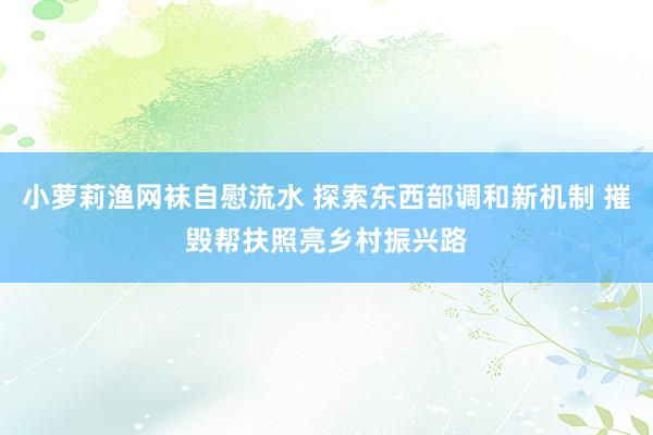 小萝莉渔网袜自慰流水 探索东西部调和新机制 摧毁帮扶照亮乡村振兴路