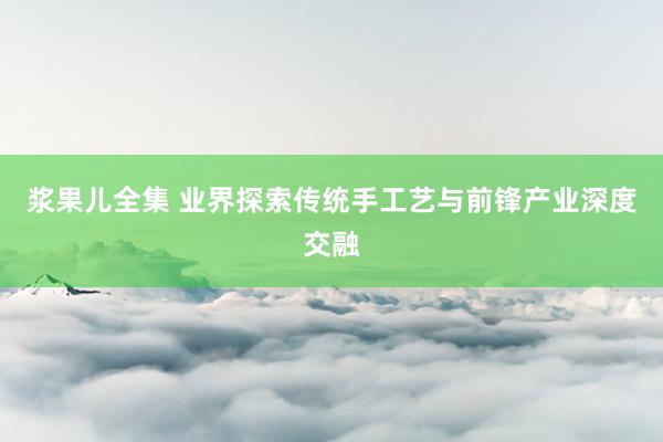 浆果儿全集 业界探索传统手工艺与前锋产业深度交融