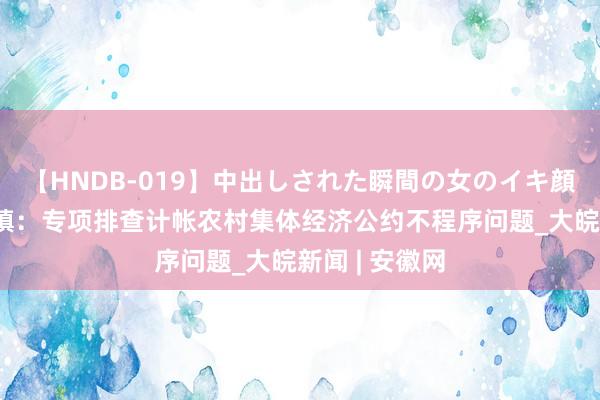 【HNDB-019】中出しされた瞬間の女のイキ顔 怀宁县金拱镇：专项排查计帐农村集体经济公约不程序问题_大皖新闻 | 安徽网