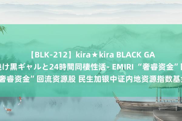 【BLK-212】kira★kira BLACK GAL レンタル痴女GAL-日焼け黒ギャルと24時間同棲性活- EMIRI “奢睿资金”回流资源股 民生加银中证内地资源指数基金布局正其时