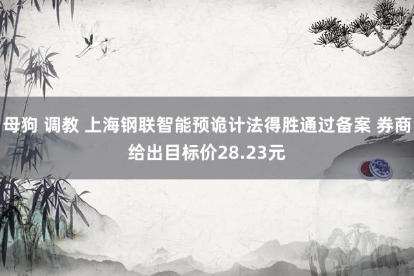 母狗 调教 上海钢联智能预诡计法得胜通过备案 券商给出目标价28.23元