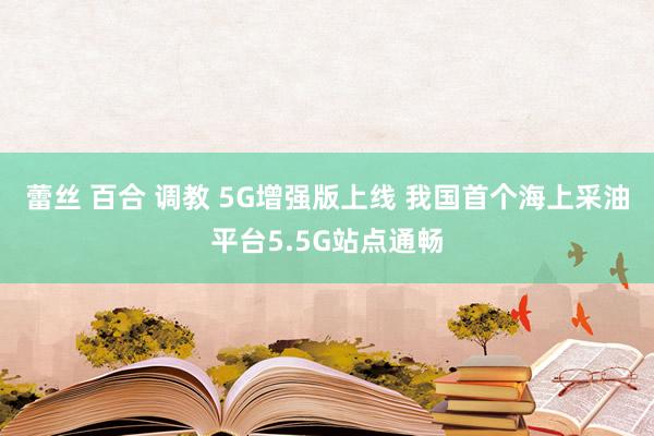 蕾丝 百合 调教 5G增强版上线 我国首个海上采油平台5.5G站点通畅