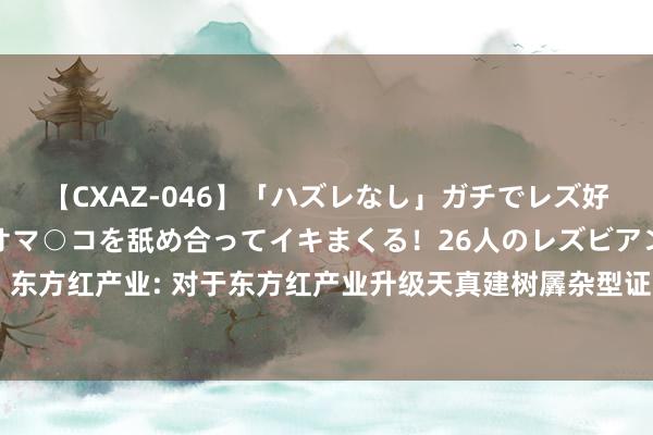 【CXAZ-046】「ハズレなし」ガチでレズ好きなお姉さんたちがオマ○コを舐め合ってイキまくる！26人のレズビアン 2 4時間 东方红产业: 对于东方红产业升级天真建树羼杂型证券投资基金基金司理变更的公告