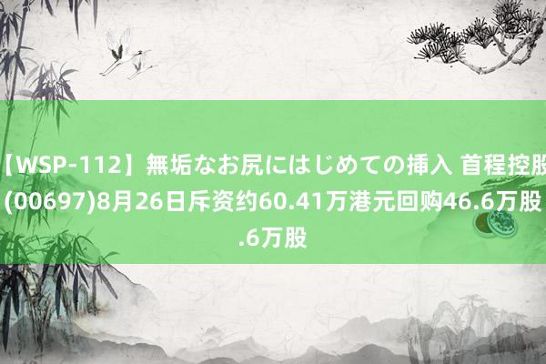 【WSP-112】無垢なお尻にはじめての挿入 首程控股(00697)8月26日斥资约60.41万港元回购46.6万股