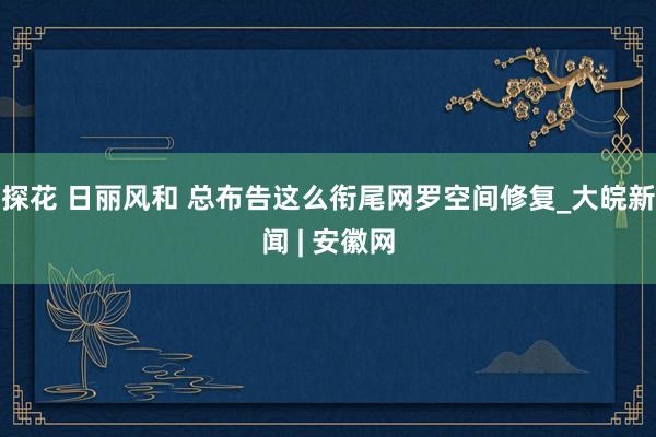 探花 日丽风和 总布告这么衔尾网罗空间修复_大皖新闻 | 安徽网