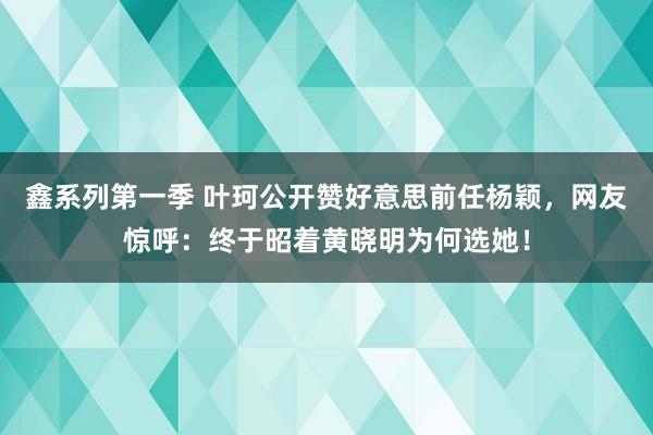 鑫系列第一季 叶珂公开赞好意思前任杨颖，网友惊呼：终于昭着黄晓明为何选她！