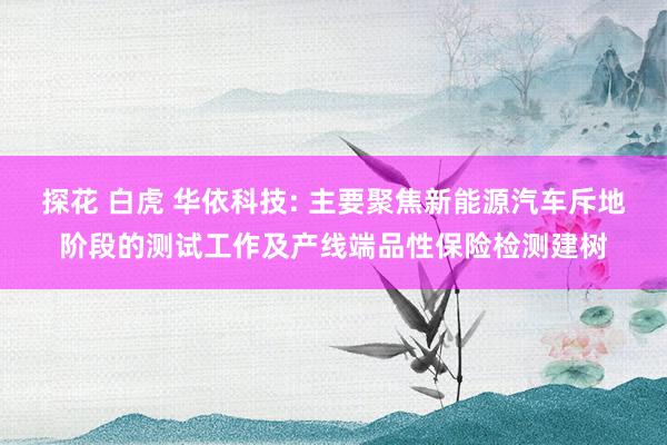 探花 白虎 华依科技: 主要聚焦新能源汽车斥地阶段的测试工作及产线端品性保险检测建树